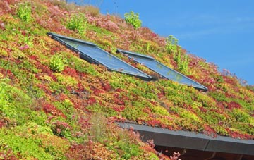 Underriver living roof systems